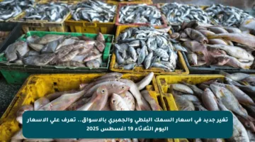 تغير جديد في أسعار السمك البلطي والجمبري بالأسواق.. تعرف على الأسعار اليوم الثلاثاء 19 أغسطس 2025